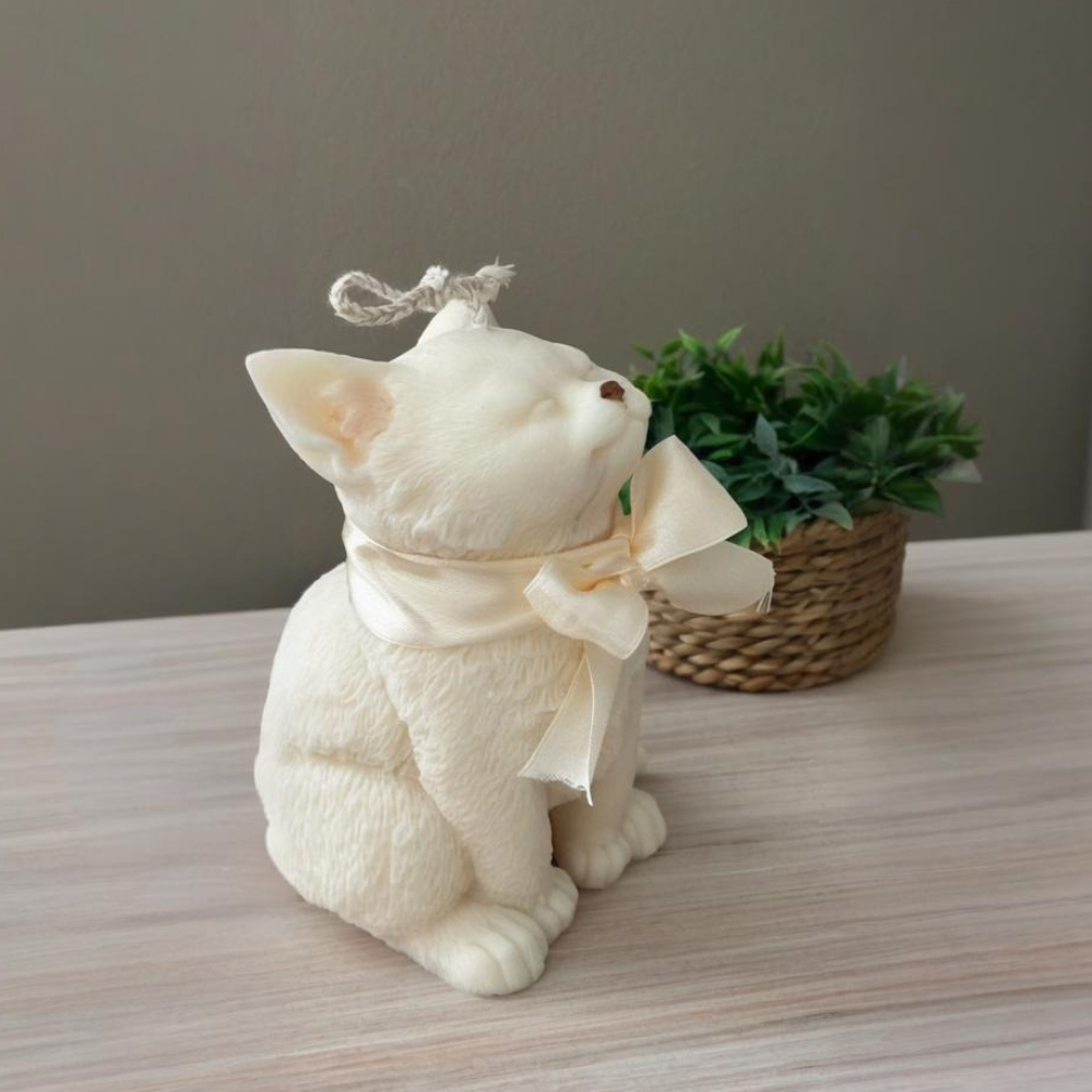 Smile Cat Silicone Mold for DI - Soap Making Gifts review and price