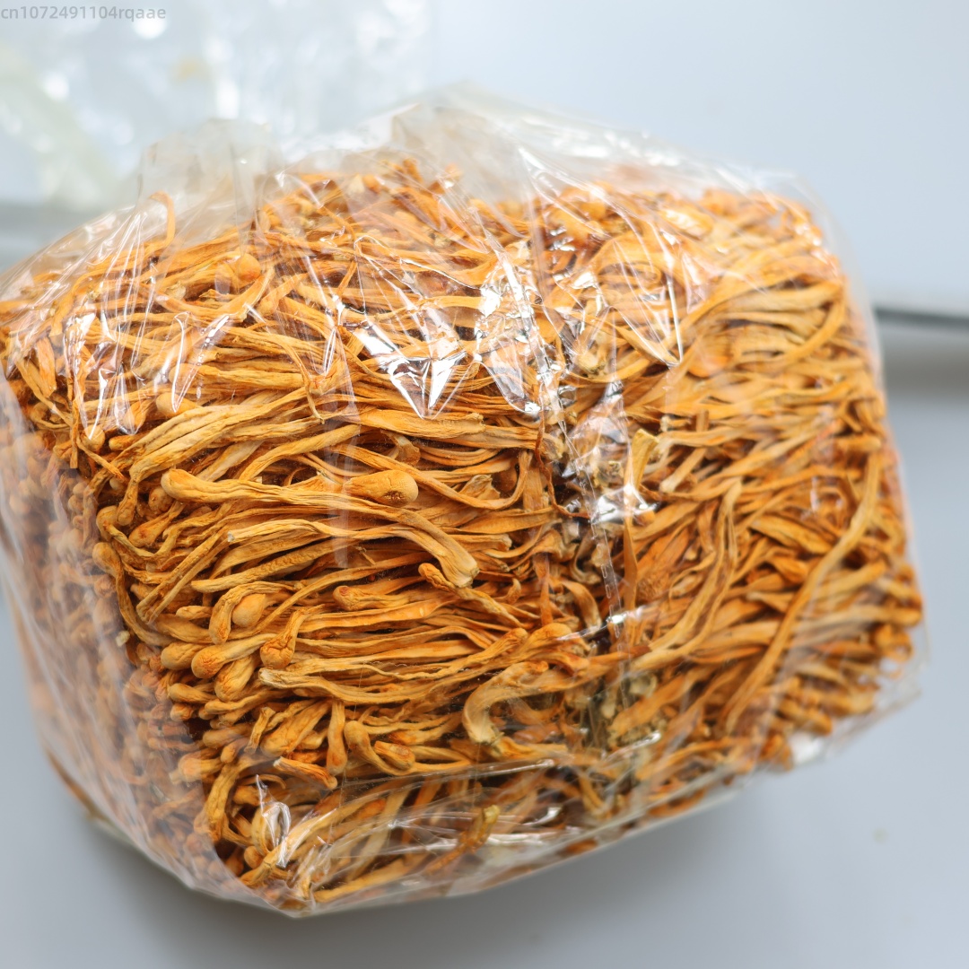 250g/500g Premium Natural Drie - Soap Making Diy Kit review and price
