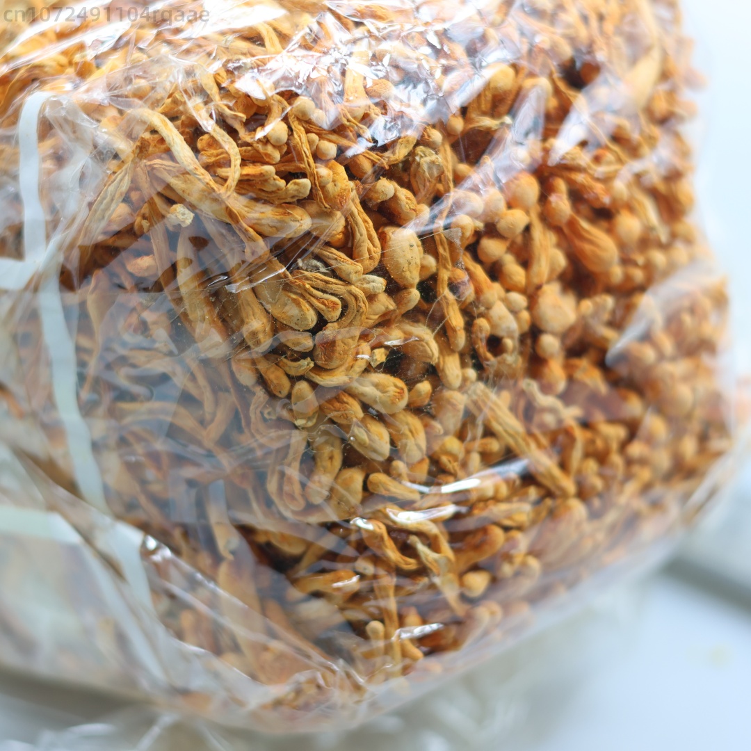 250g/500g Premium Natural Drie - Soap Making Diy Kit review and price